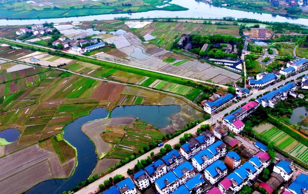 渝水区签约126亿元项目,争政策争项目争资金情况汇报