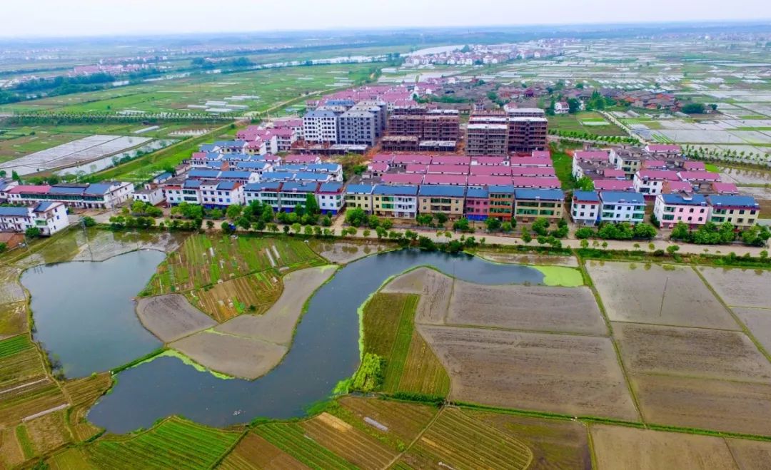 渝水区签约126亿元项目,争政策争项目争资金情况汇报