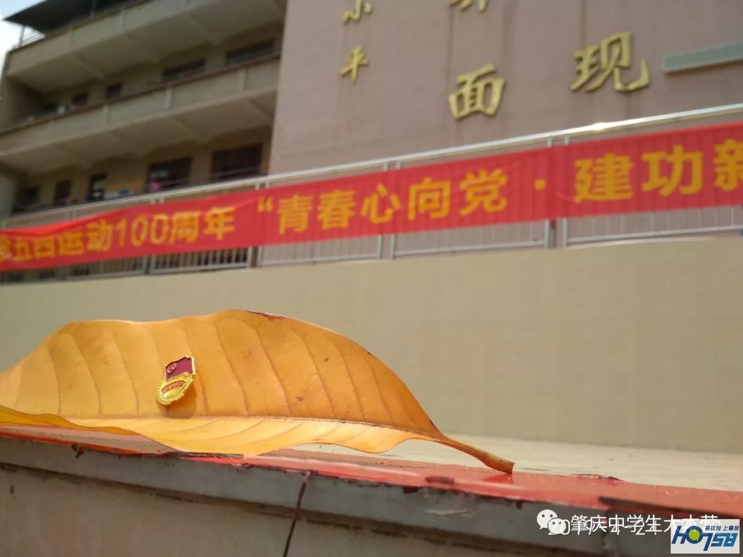 肇庆市封开县江口中学优势,封开县江口中学介绍