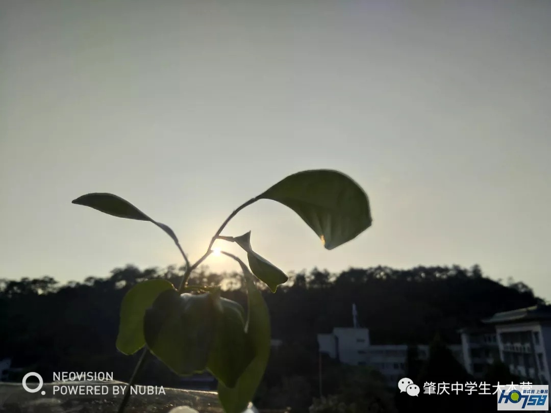 肇庆市封开县江口中学优势,封开县江口中学介绍