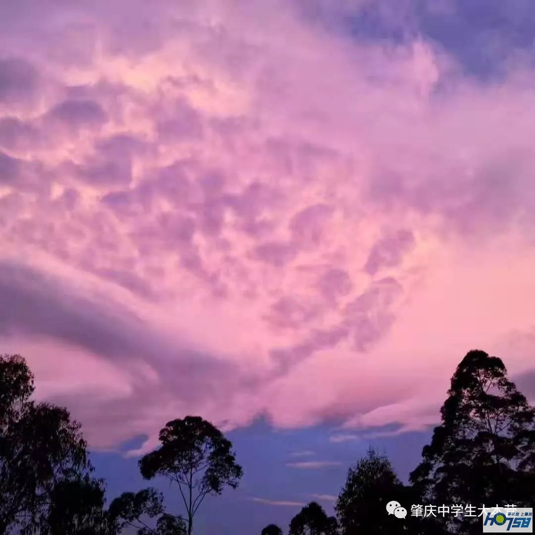肇庆市封开县江口中学优势,封开县江口中学介绍