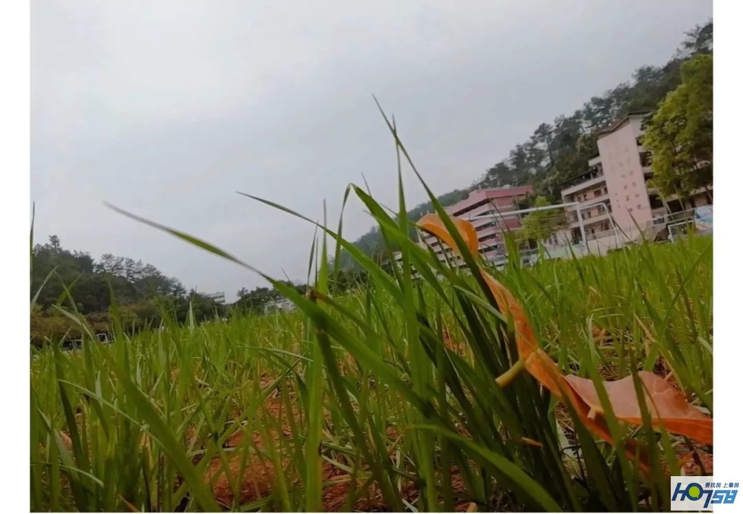 肇庆市封开县江口中学优势,封开县江口中学介绍