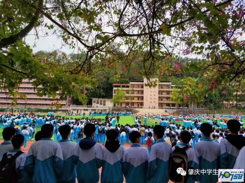肇庆市封开县江口中学优势,封开县江口中学介绍