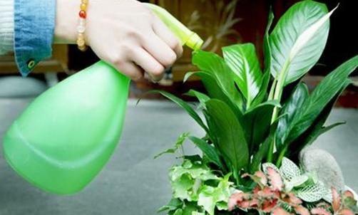 家里常用的小苏打是什么,食用小苏打原来这么厉害