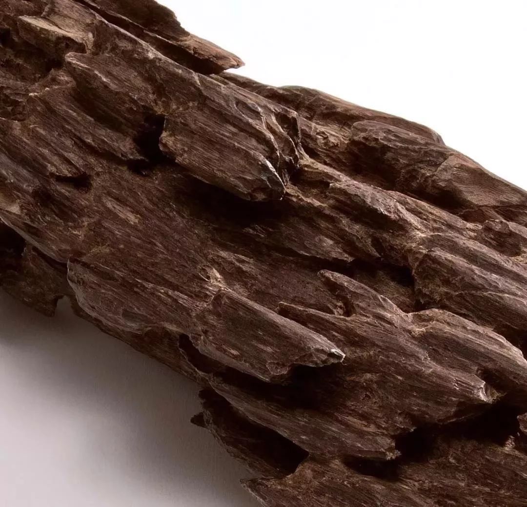 澶忔棩鍊炬儏鏋楀嘲,澶忔棩鍊炬儏鏋楀朝鍚堝敱