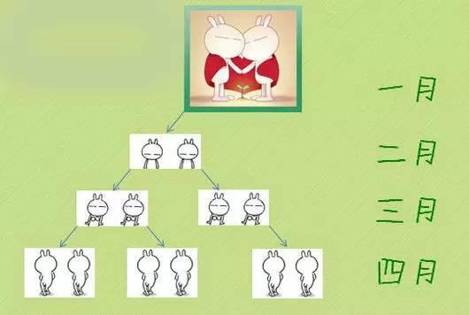 斐波那契数列公式讲解,斐波那契数列神奇规律
