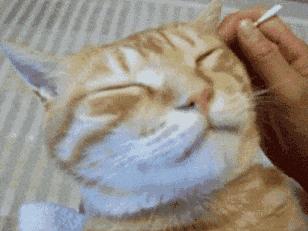 姑娘耳屎太多被同事吐槽,耳屎太多检测报告