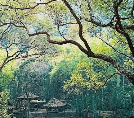 梧州3天攻略,梧州四天攻略