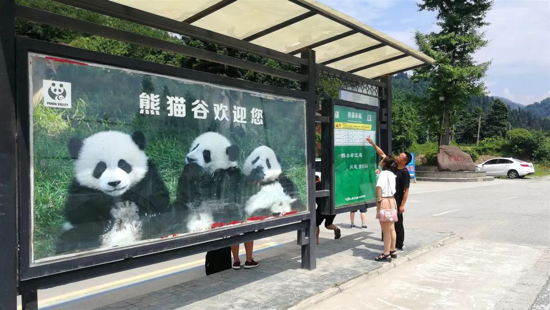 国庆都江堰怎么玩,去都江堰玩啥最好看的攻略图解