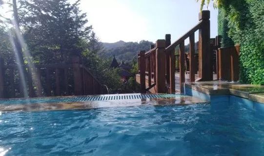 生活频道的养生视频,生活频道黄山