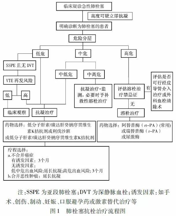 急性肺栓塞溶栓首先要考虑的情况,肺栓塞溶栓指南2023全文