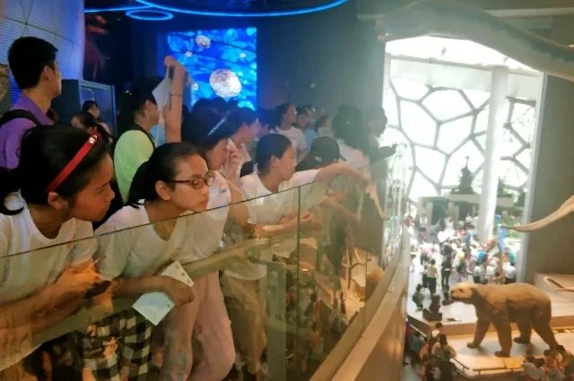 青少年暑期七彩夏令营系列活动,暑假夏令营让你嗨翻天