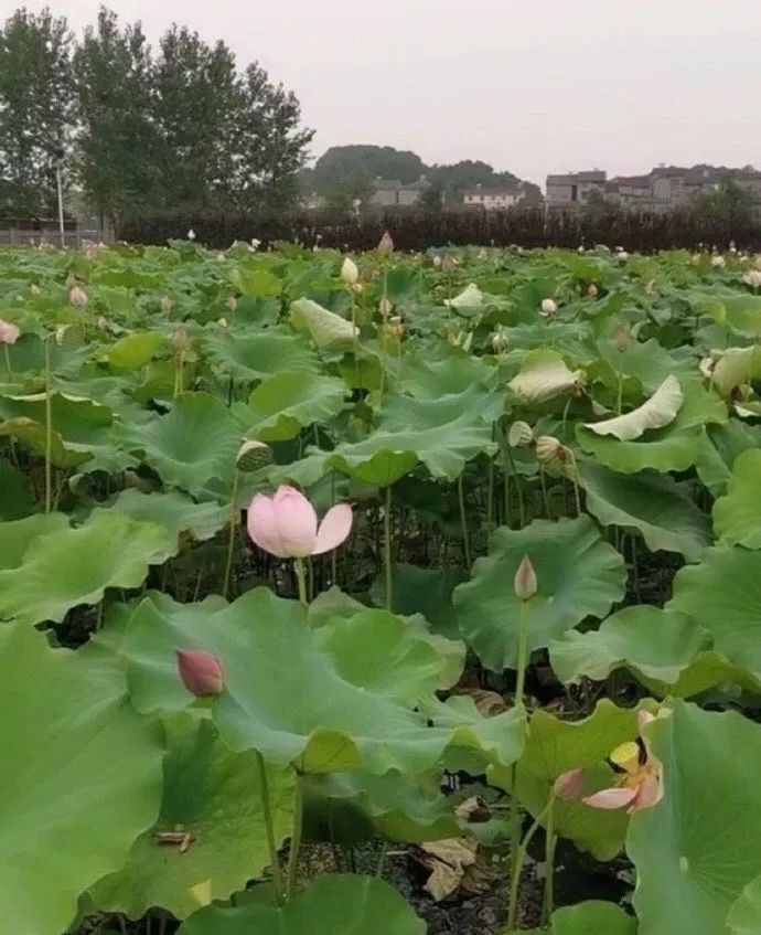我发现了钢铁直男出轨的细节，结果...太优秀了哈哈哈哈哈哈哈哈哈哈