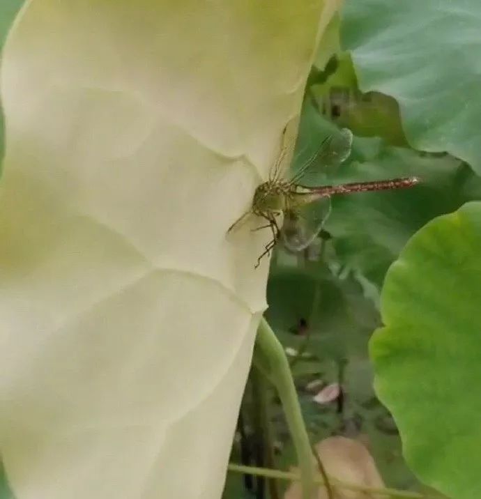 我发现了钢铁直男出轨的细节，结果...太优秀了哈哈哈哈哈哈哈哈哈哈