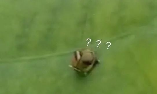 我发现了钢铁直男出轨的细节，结果...太优秀了哈哈哈哈哈哈哈哈哈哈