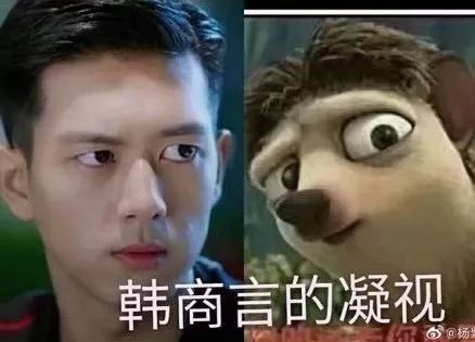 花钱减压｜不在微博上买房都追不上现男友的预告了，韩商言你太上头