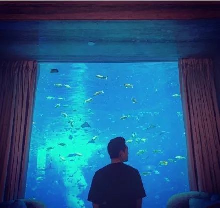 花钱减压｜不在微博上买房都追不上现男友的预告了，韩商言你太上头