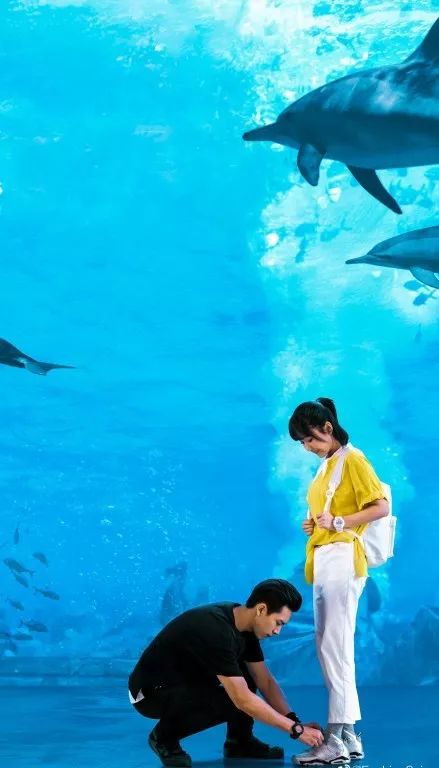 花钱减压｜不在微博上买房都追不上现男友的预告了，韩商言你太上头