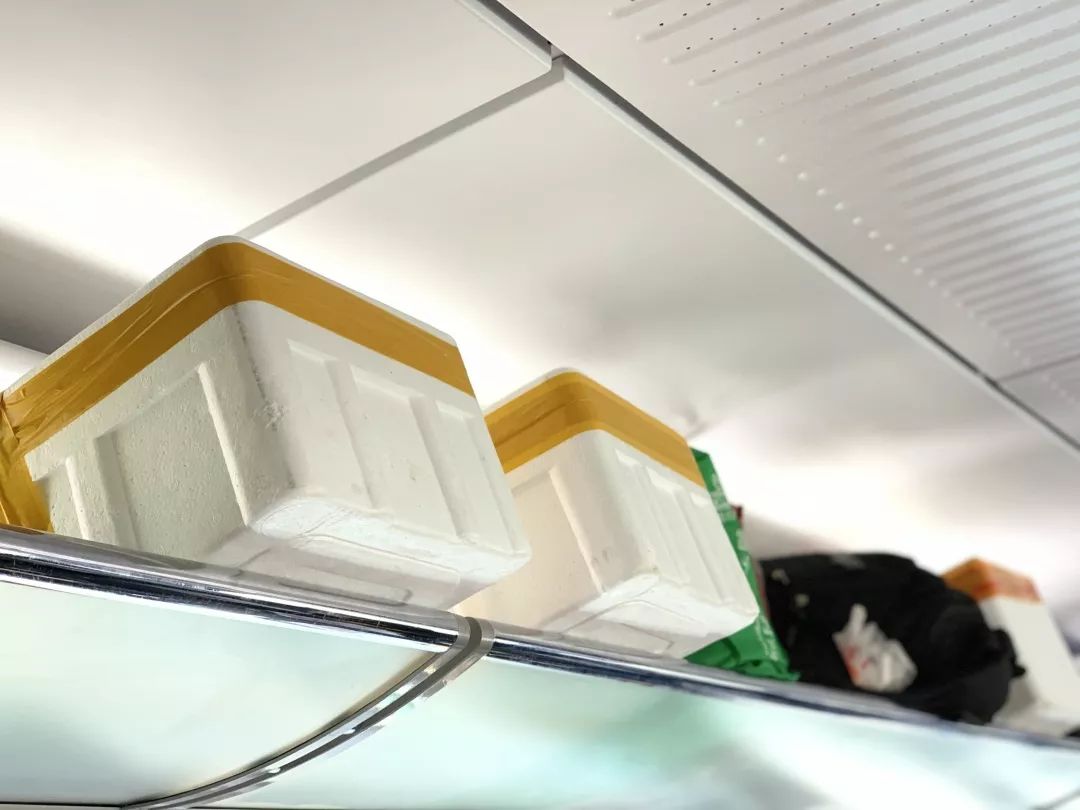 高铁上行李可以放在什么地方,高铁上带行李物品的规定