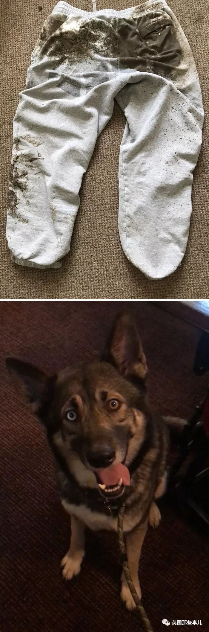 鐖嗙瑧娌欓洉鏃ュ父鍊掗湁鍚堥泦,鏃ュ父鍊掗湁鎼炵瑧娌欓洉瑙嗛