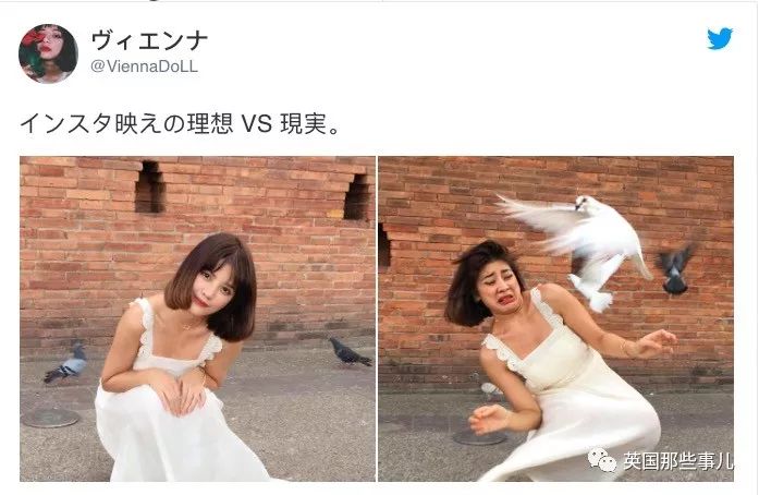 鐖嗙瑧娌欓洉鏃ュ父鍊掗湁鍚堥泦,鏃ュ父鍊掗湁鎼炵瑧娌欓洉瑙嗛