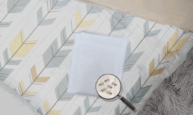 法国Lérane草本净螨贴，萃取天然植物，除螨更安心