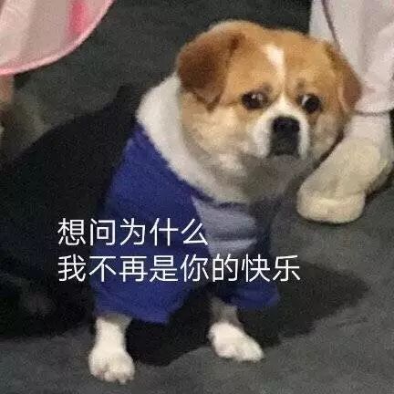 「搞事」红米官方晒6400万像素样张意外打小米脸？