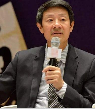 陈众议采访,陈众议的提案