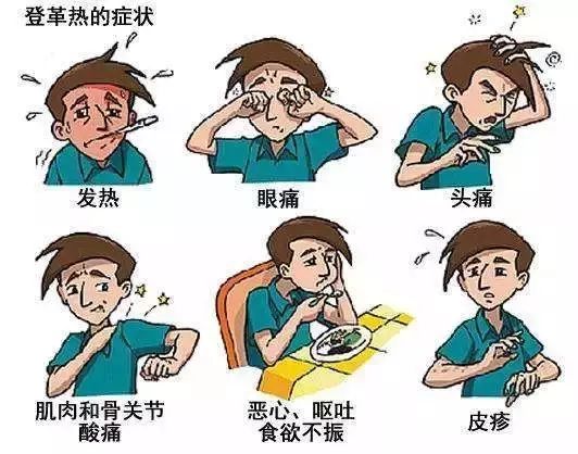 发烧了是不是感染了,登革热会反复发烧吗