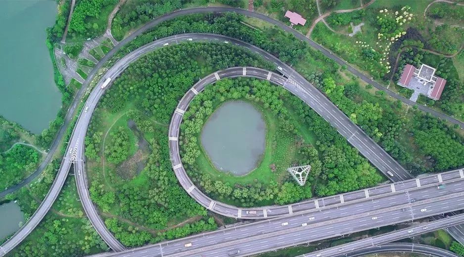 天呐！武汉这个区开挂了！反正我是羡慕了！