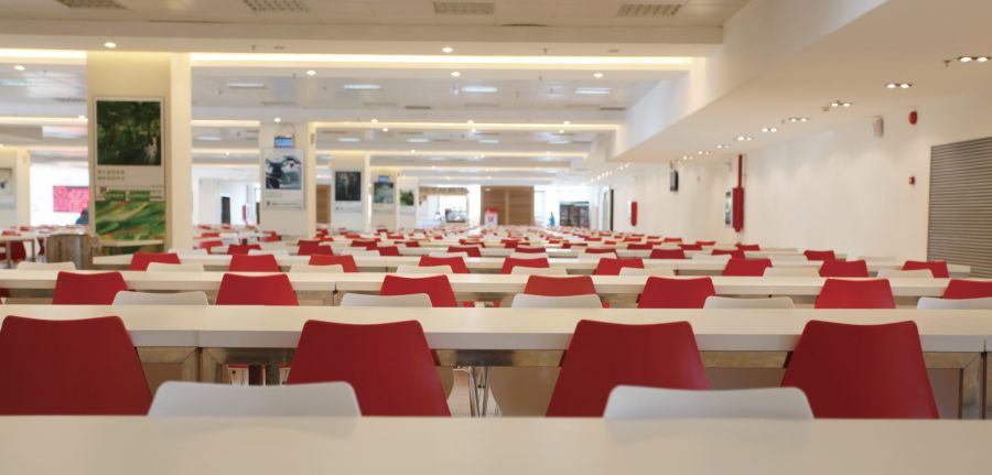 中国餐饮市场总额,中国餐饮两大巨头