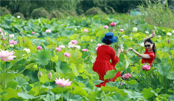 守护这一湖碧水泗洪这样做