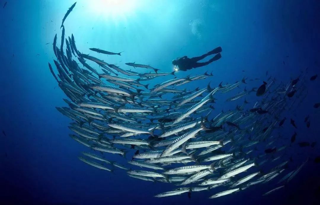 生态环境科普的意义,环保科普知识的图片