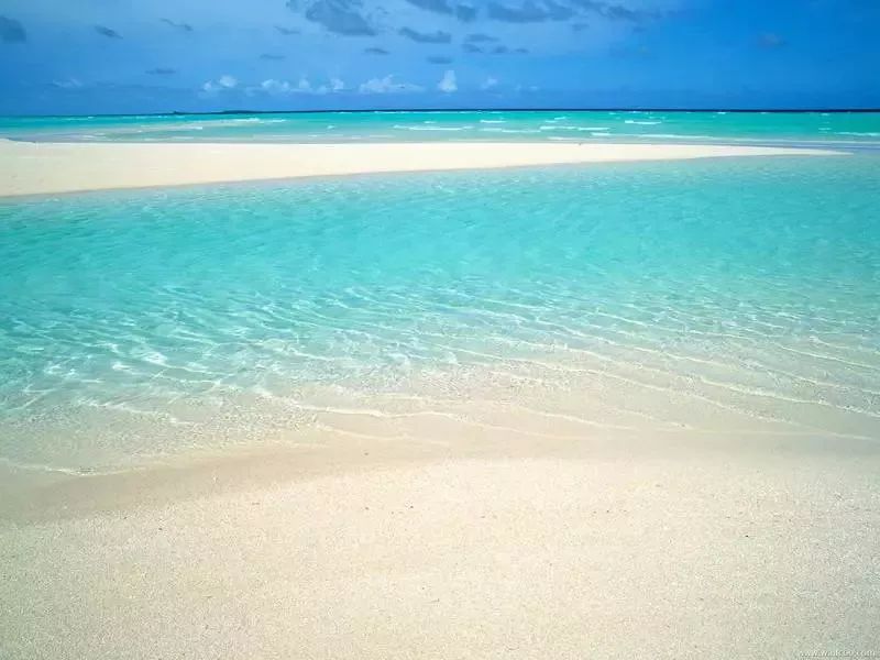 生态环境科普的意义,环保科普知识的图片