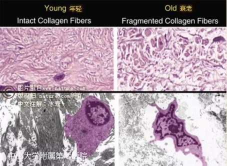 越晒越白越好的防晒方法,一白遮百丑夏日防晒大科普