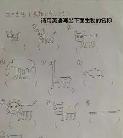 有个逗逼弟弟是个什么样的体验,一个逗逼老师的生活日常