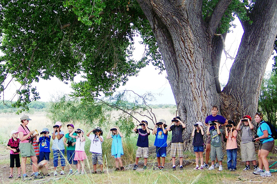 正确观鸟的方法,观鸟技能和注意事项