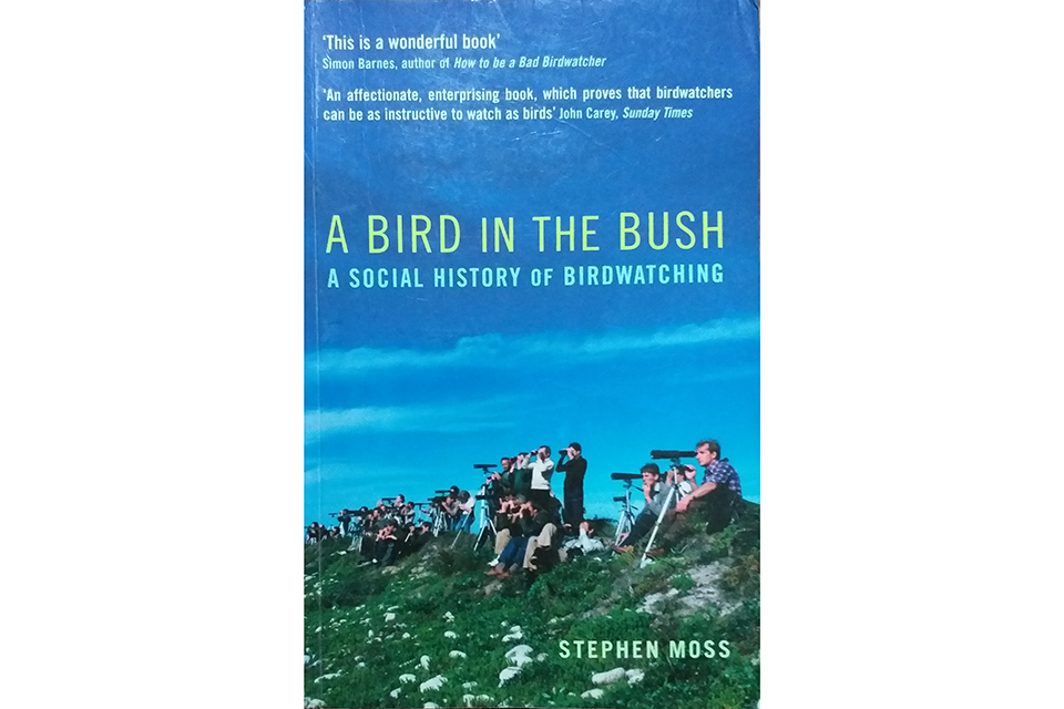 正确观鸟的方法,观鸟技能和注意事项