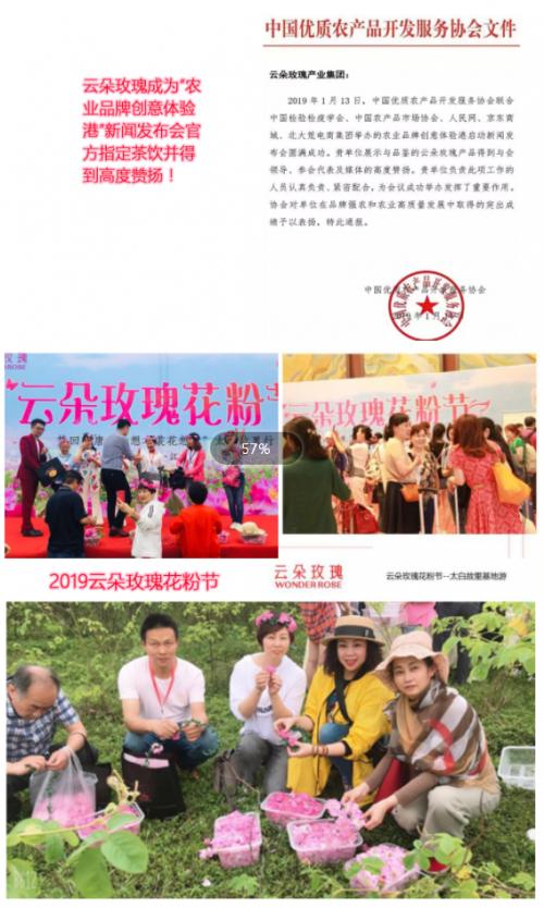 云朵玫瑰值得投资吗,云朵玫瑰代理