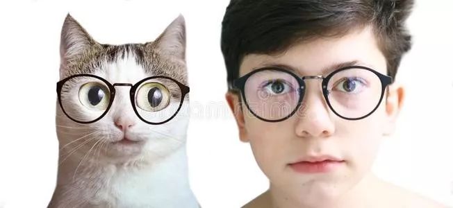 雷火灸治近视的灸法,雷火灸可以治疗近视吗