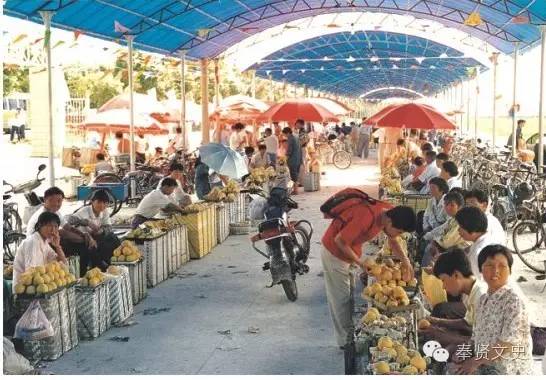 奉贤正宗黄桃,夏天又香又甜的黄桃