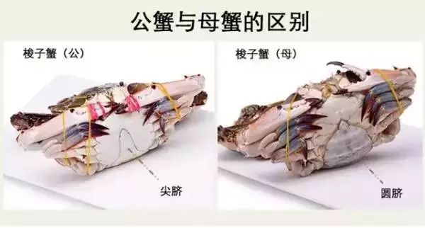 玉林侬，冲鸭！北海8月16日开海，教你在哪里买海鲜最新鲜，最实惠~