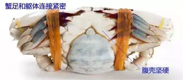 玉林侬，冲鸭！北海8月16日开海，教你在哪里买海鲜最新鲜，最实惠~