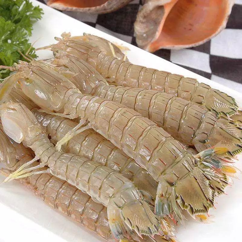 玉林侬，冲鸭！北海8月16日开海，教你在哪里买海鲜最新鲜，最实惠~