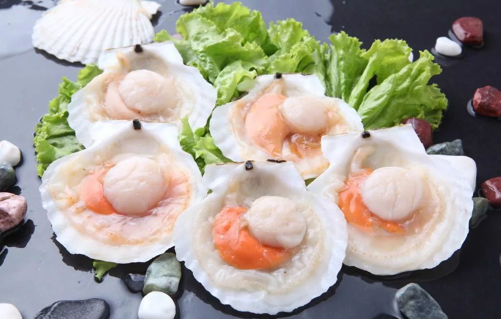 玉林侬，冲鸭！北海8月16日开海，教你在哪里买海鲜最新鲜，最实惠~