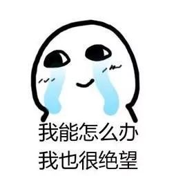 找站宛如“连连看”!成都137路公交车“逼疯”网友|沸话