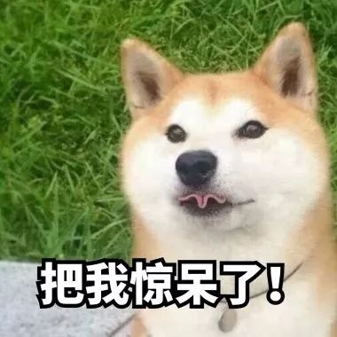 找站宛如“连连看”!成都137路公交车“逼疯”网友|沸话