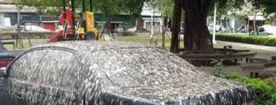 鸟屎为什么有青的,鸟屎为什么是一条条的