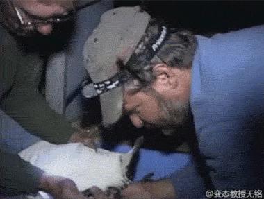 鸟屎为什么有青的,鸟屎为什么是一条条的