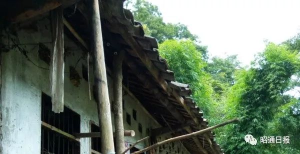 王健骅云南,王健骅农行